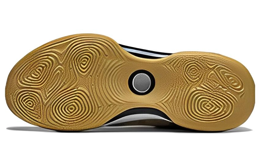 LiNing EVOLUTION LOW