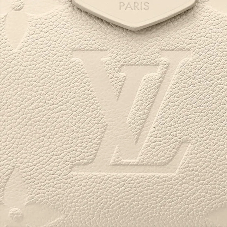 LOUIS VUITTON Multi Pochette Accessoires