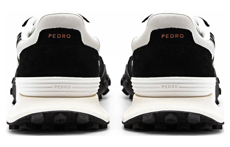 PEDRO Icon