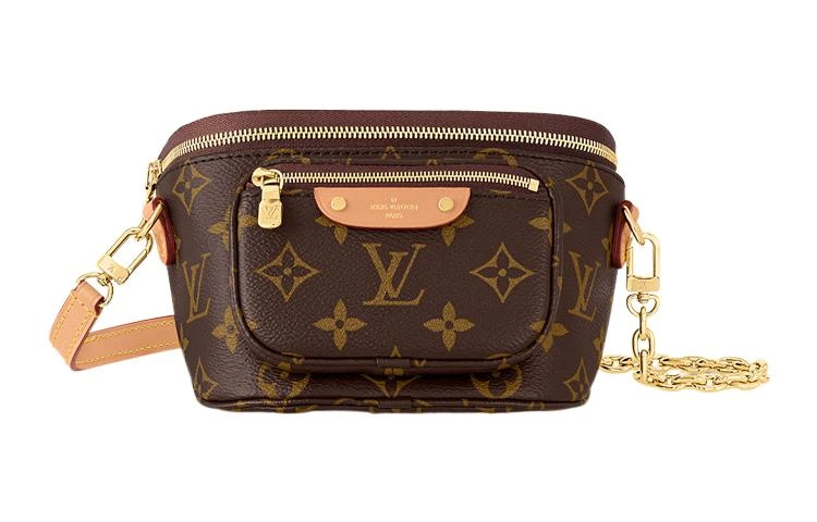 LOUIS VUITTON Bumbag