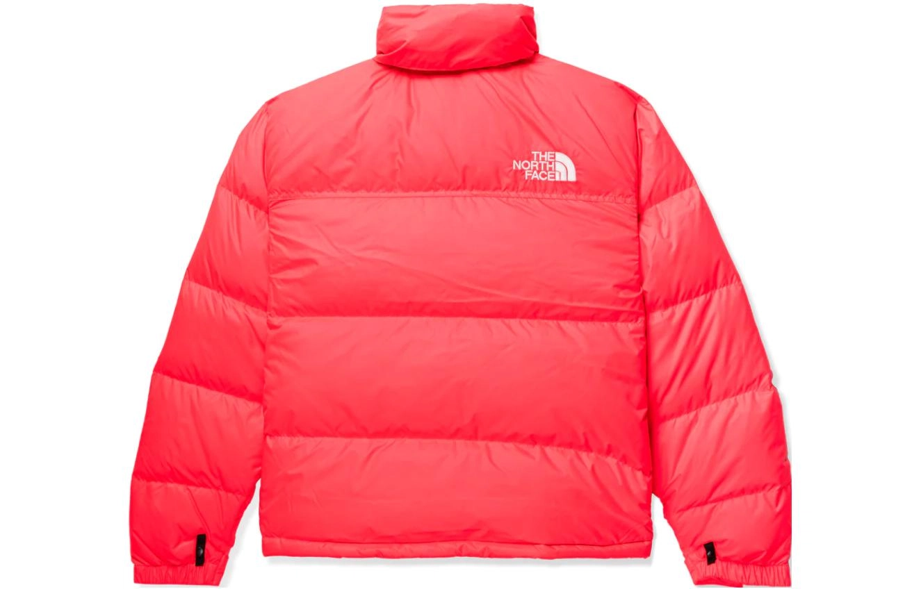 THE NORTH FACE 1996 RETRO NUPTSE Logo