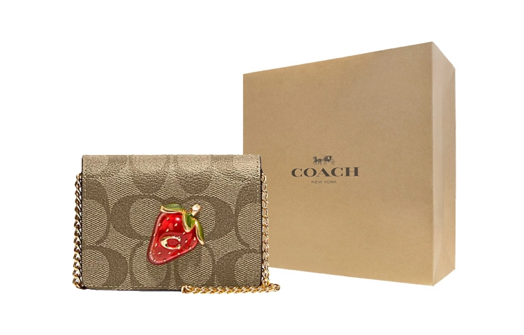 COACH Chain 10
