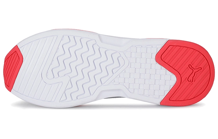 PUMA X-RAY