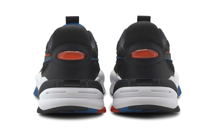 PUMA RS-2K Internet Exploring