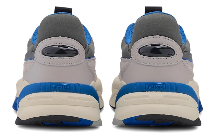 PUMA RS-2K Internet Exploring