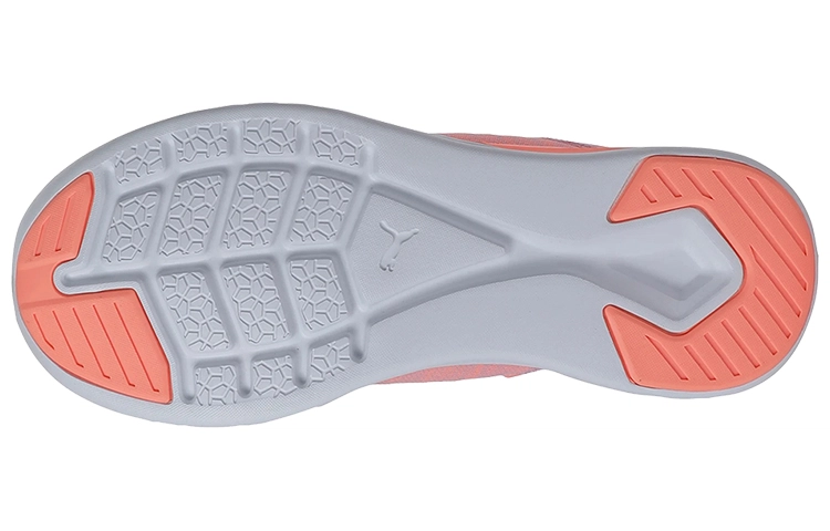 Puma Ignite Flash Evoknit