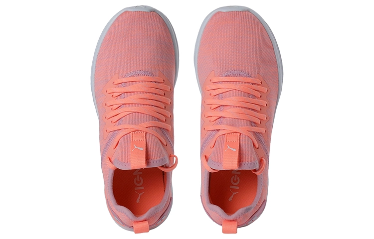 Puma Ignite Flash Evoknit