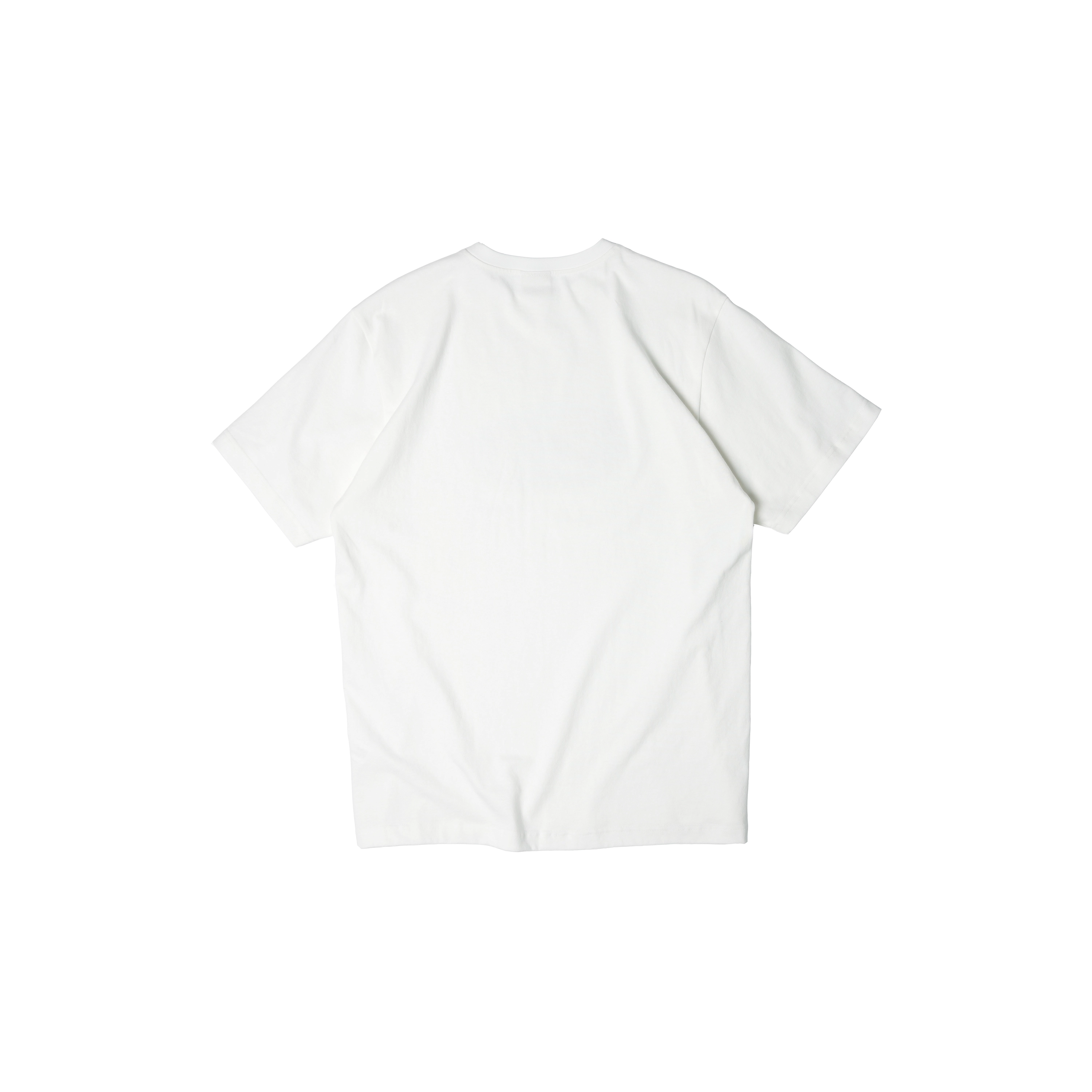BASIC MATCH T