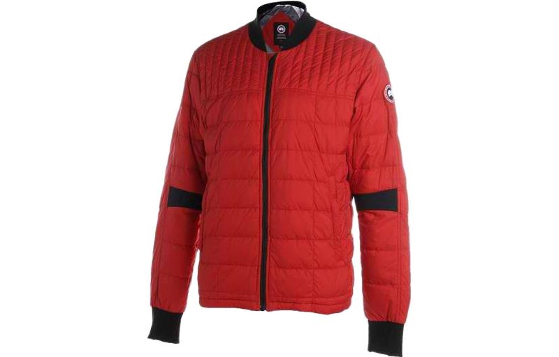 Canada Goose