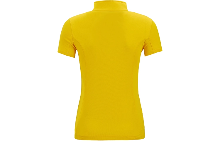 PELLIOT T