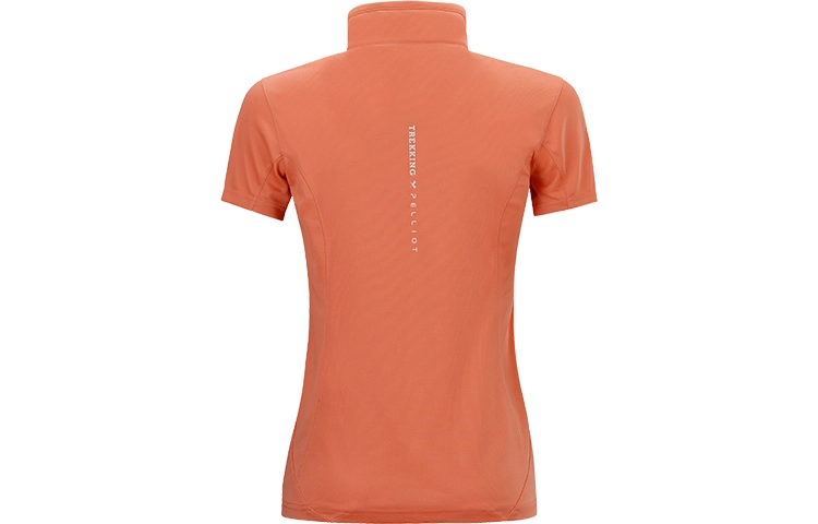 PELLIOT T