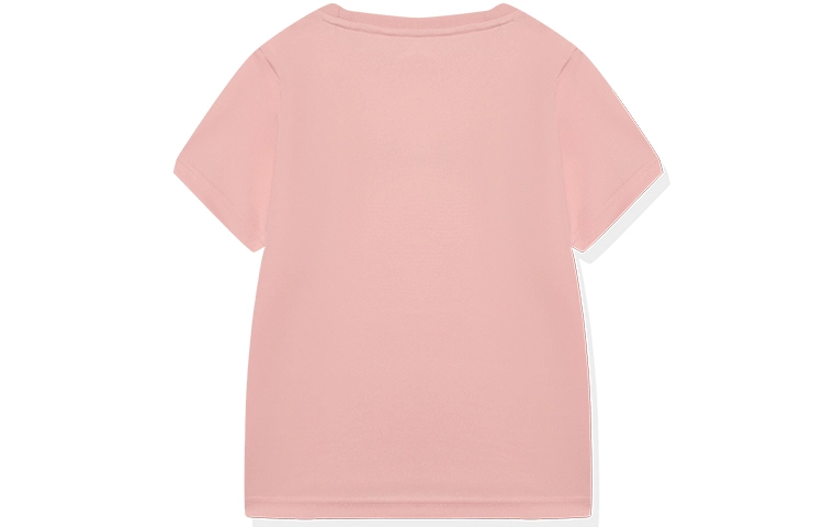 PELLIOT T