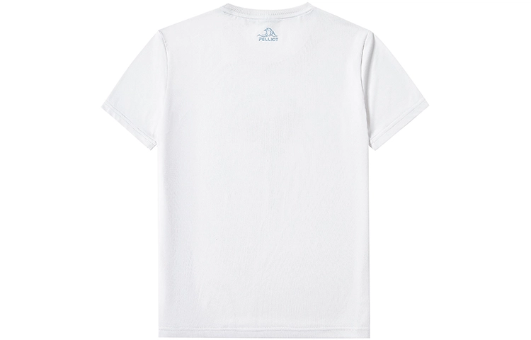 PELLIOT T