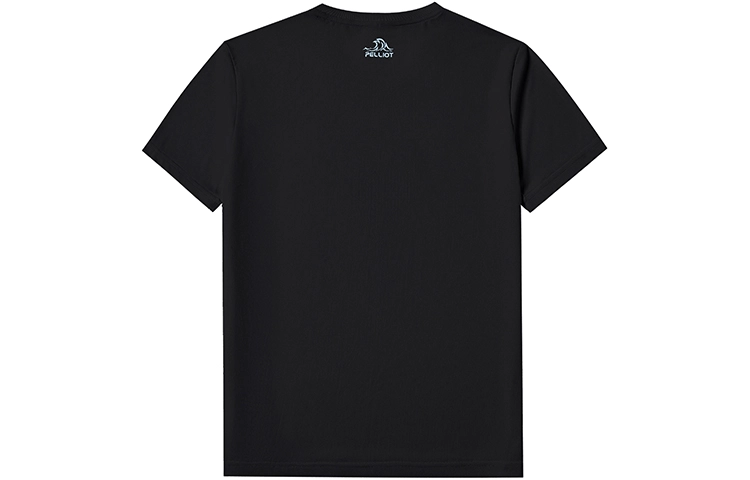 PELLIOT T
