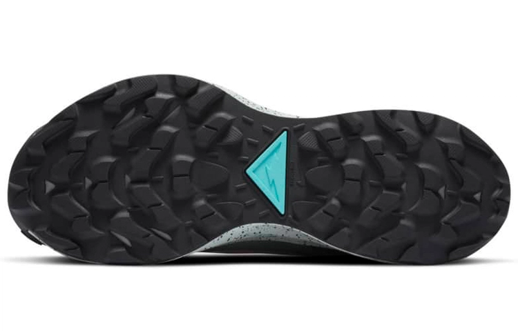 Nike Pegasus Trail 2