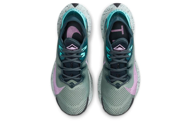 Nike Pegasus Trail 2