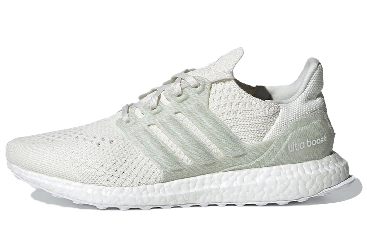 Parley x adidas Ultraboost 6.0