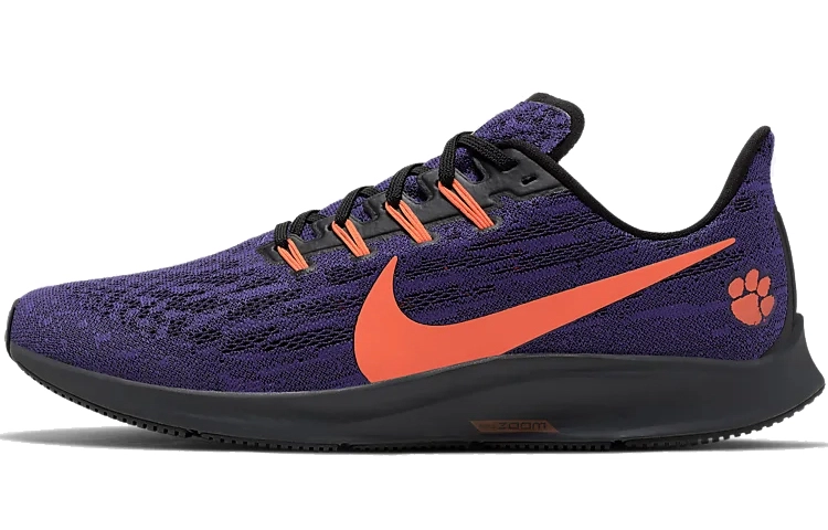 Nike Pegasus 36