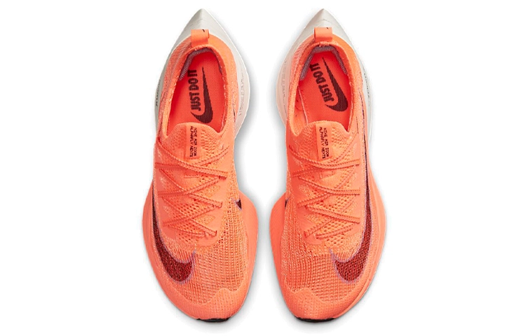 Nike Air Zoom Alphafly Next 1