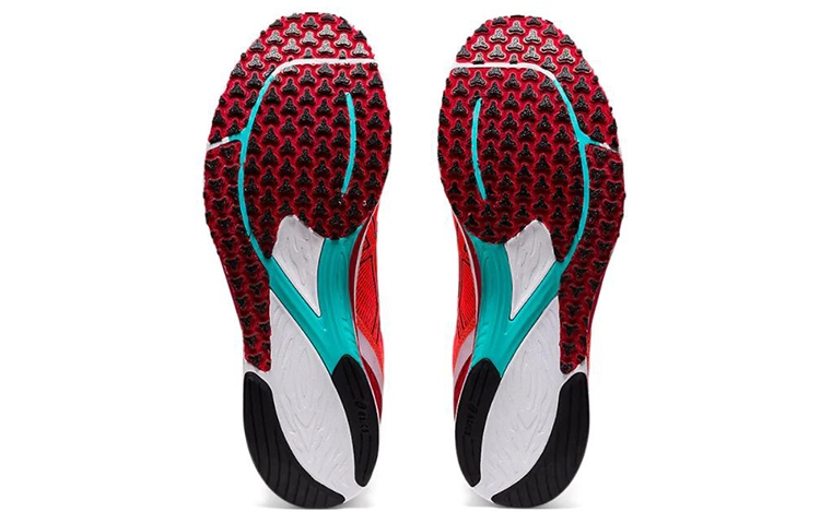 Asics Tartheredge 2