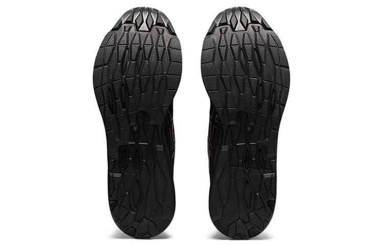 Asics EvoRide 1 Orphe S