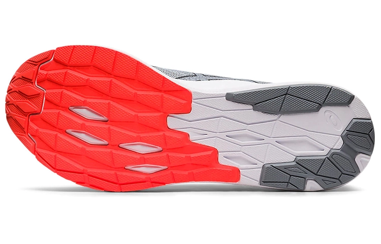 Asics EvoRide 1