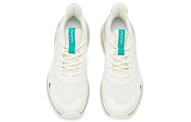 Anta