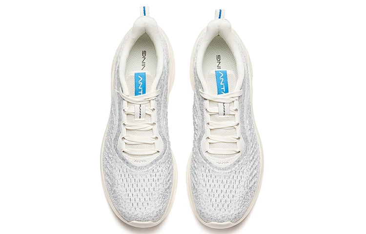 Anta