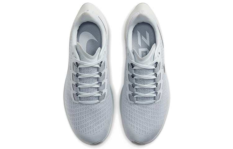 Nike Pegasus 37