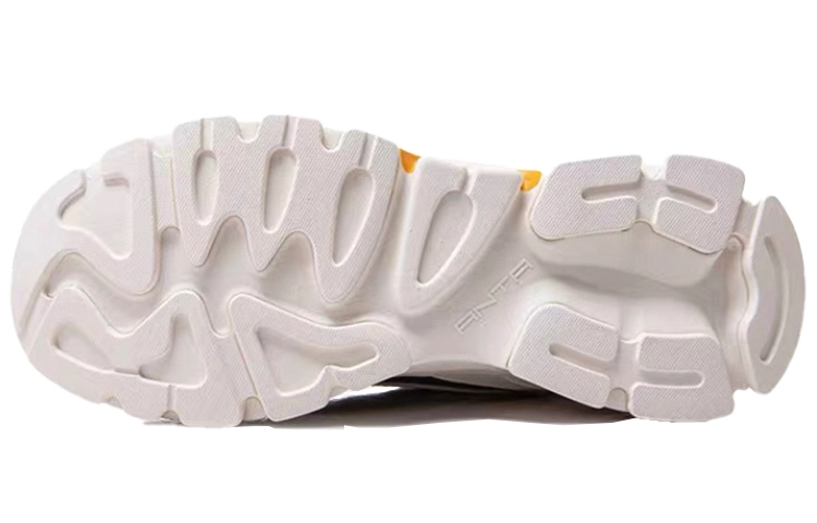 Anta