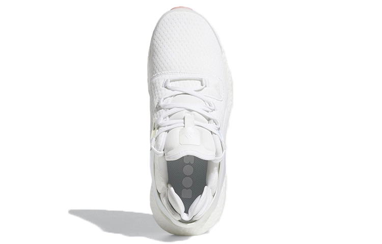 adidas Alphatorsion Boost