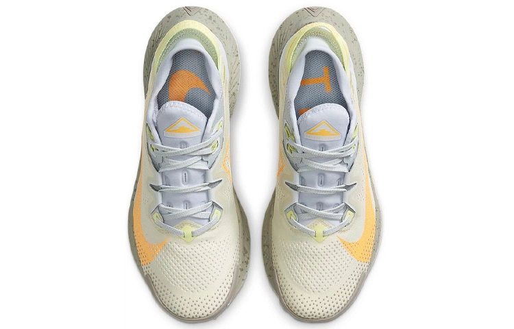 Nike Pegasus Trail 2