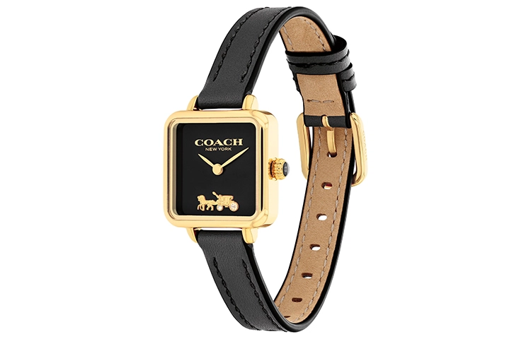 COACHCass 22mm 14504225