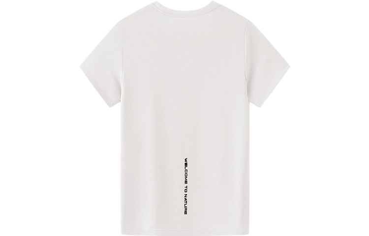 PELLIOT T
