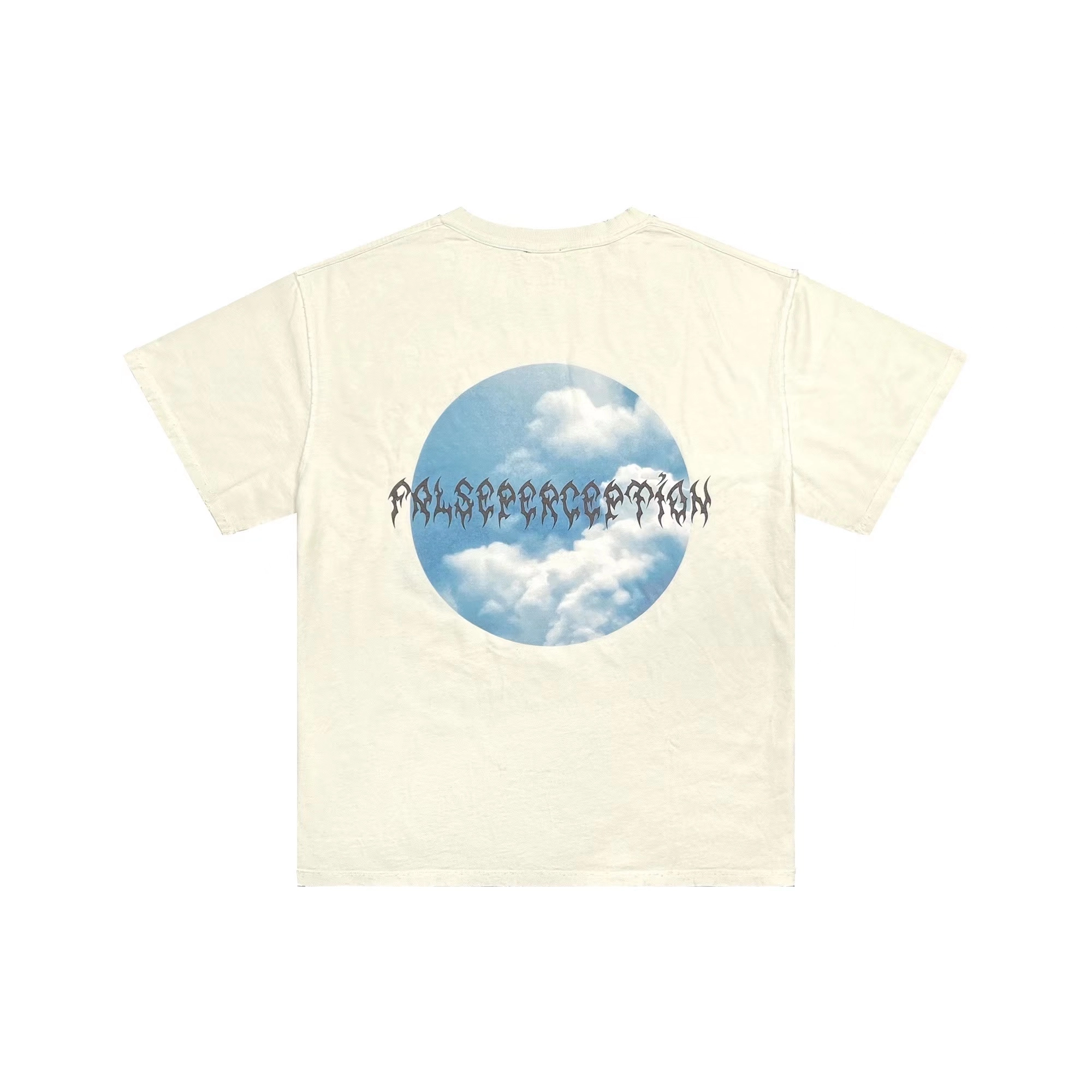 False Perception T