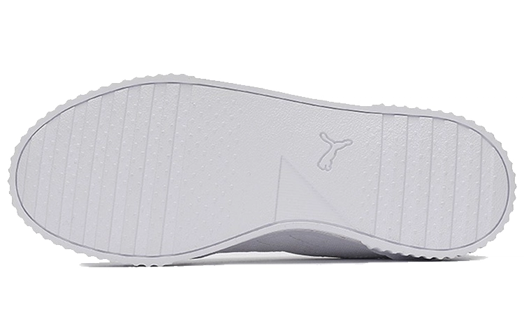 PUMA Carina