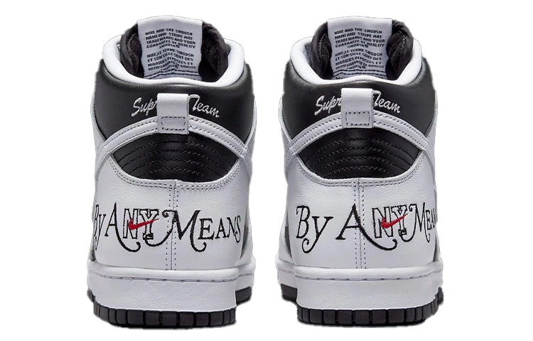 Supreme x Nike Dunk "By Any Means"