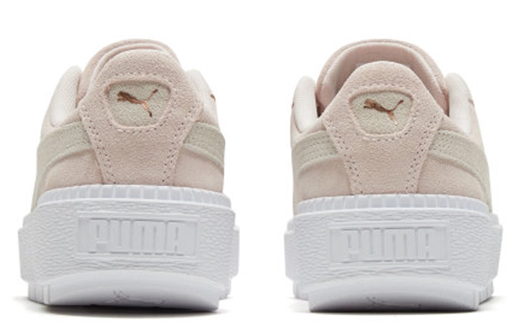PUMA Platform Trace