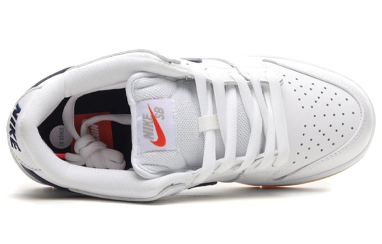 Nike Dunk SB Pro