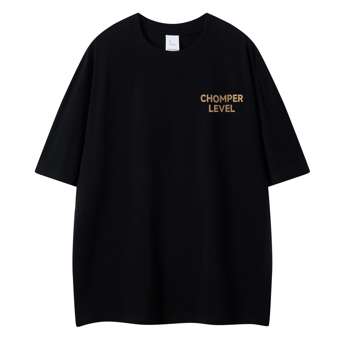 LEVEL T