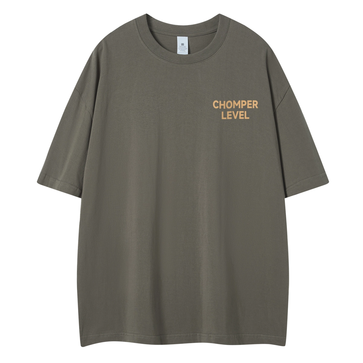 LEVEL T