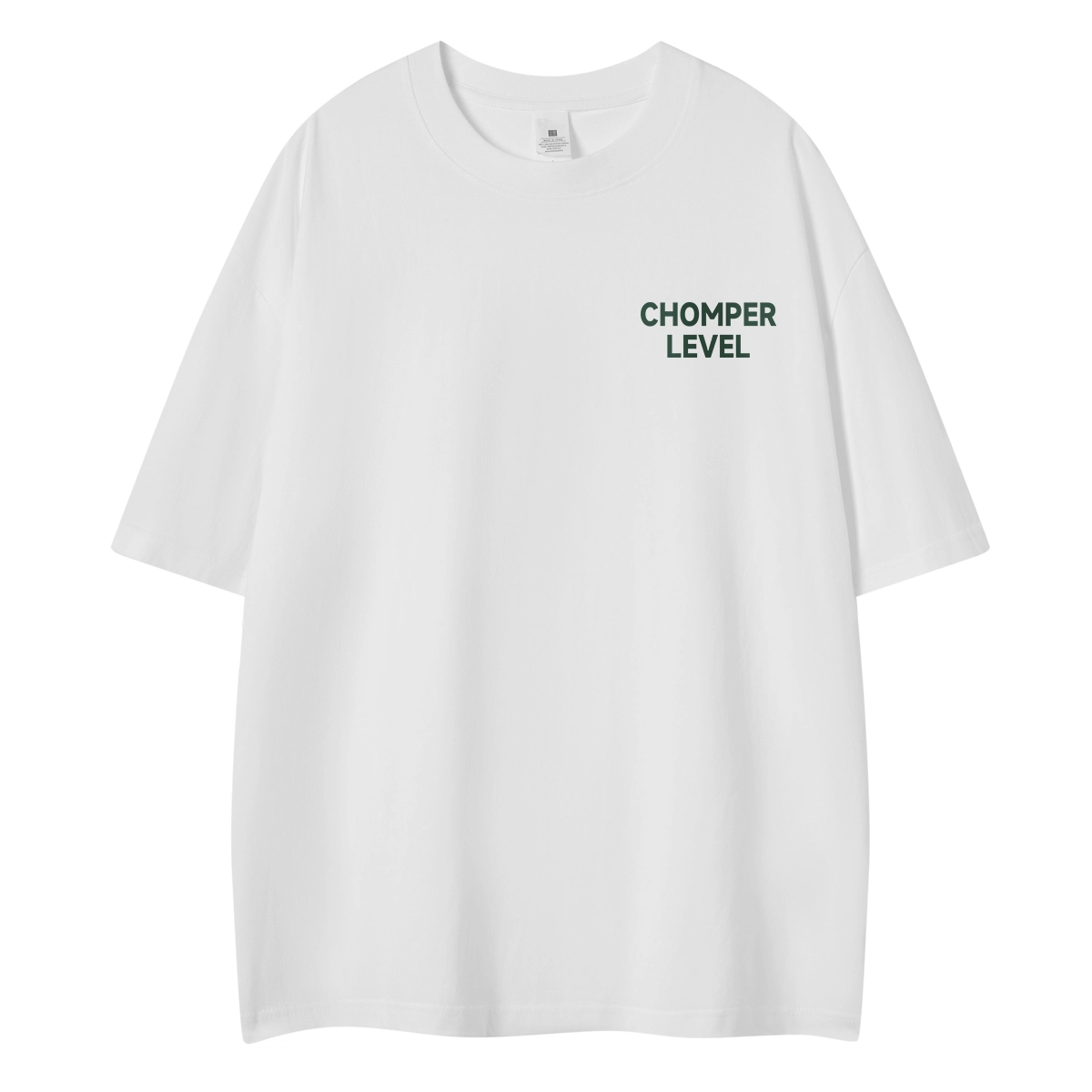 LEVEL T