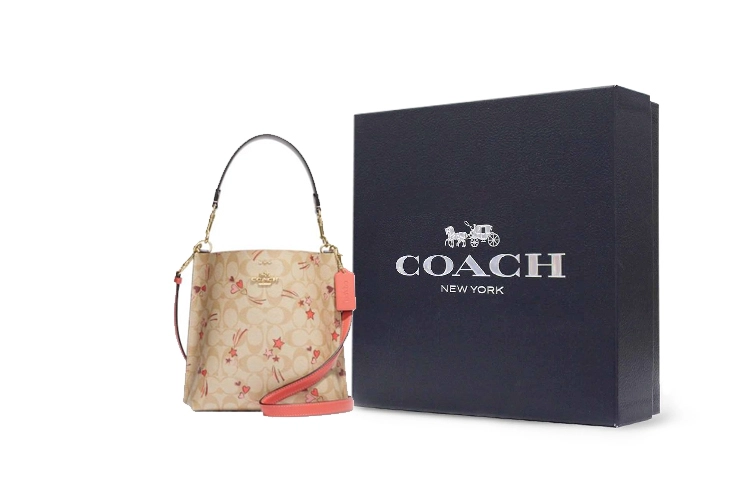 COACH Mollie 22 Logo