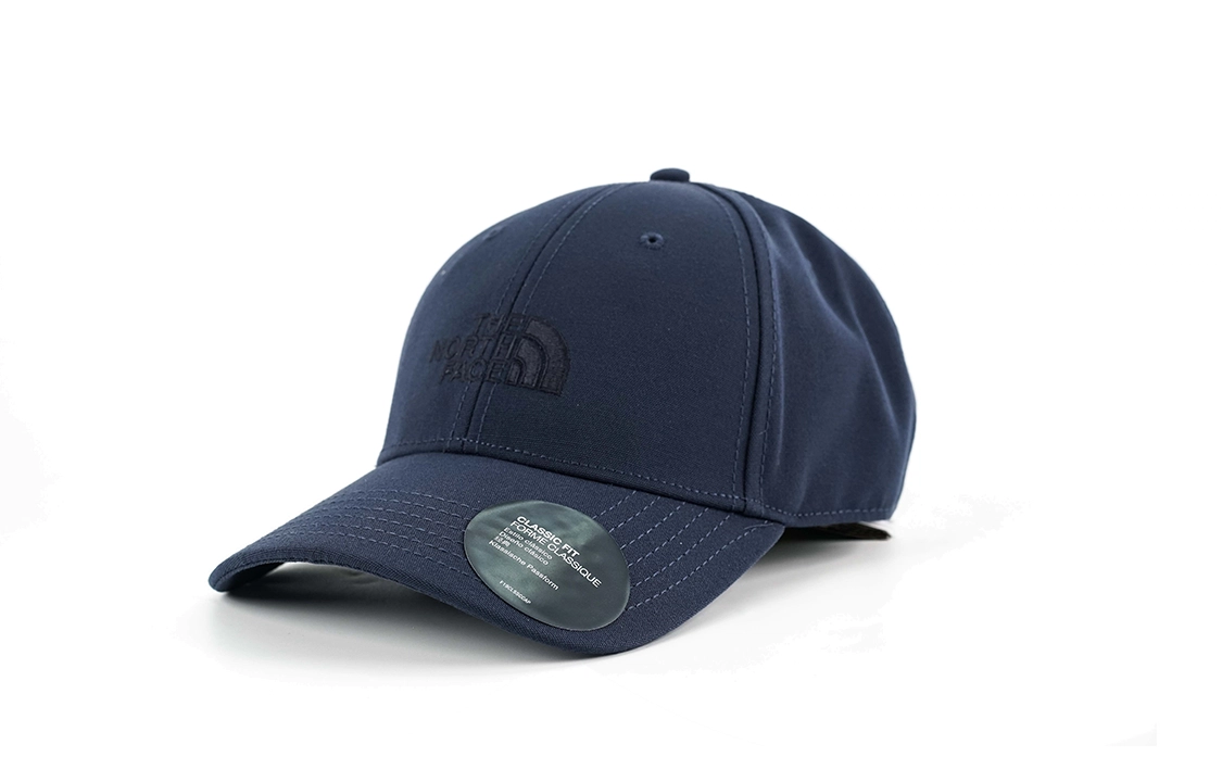 THE NORTH FACE logo 4VSV
