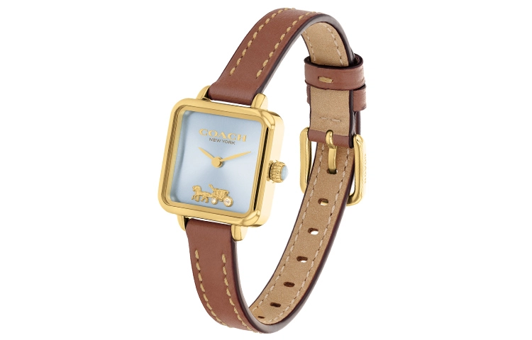 COACH CASS 22 14504231