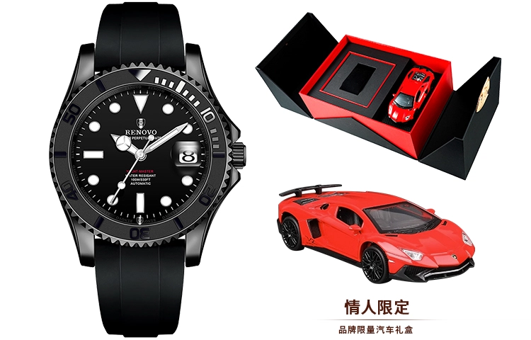 RENOVO R88006