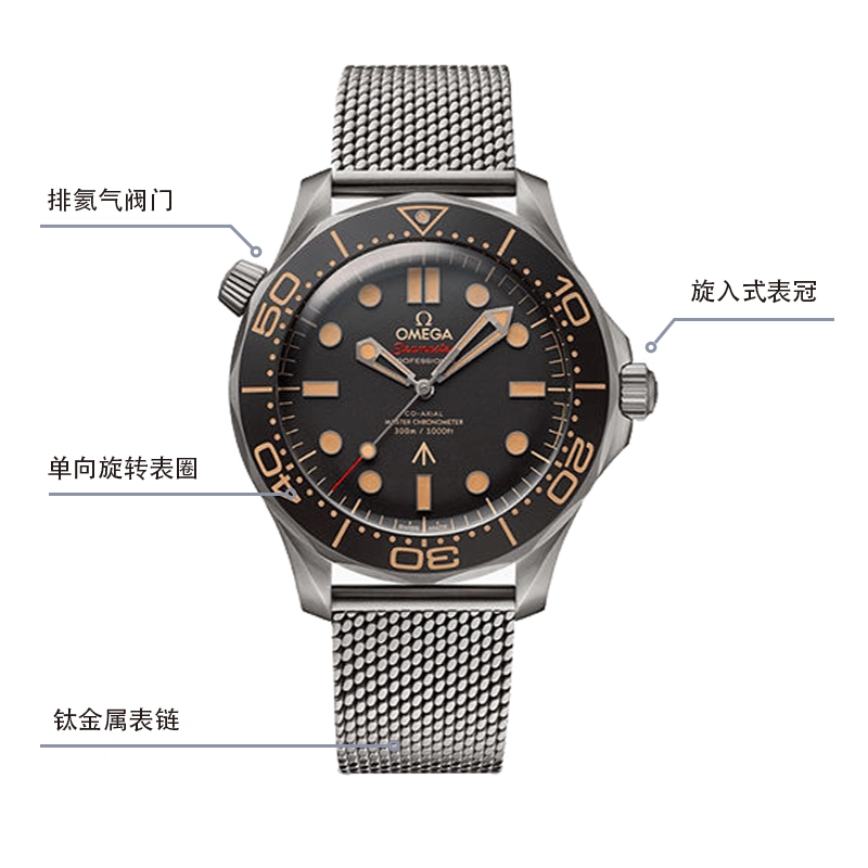 OMEGA 007 300 42mm 210.90.42.20.01.001