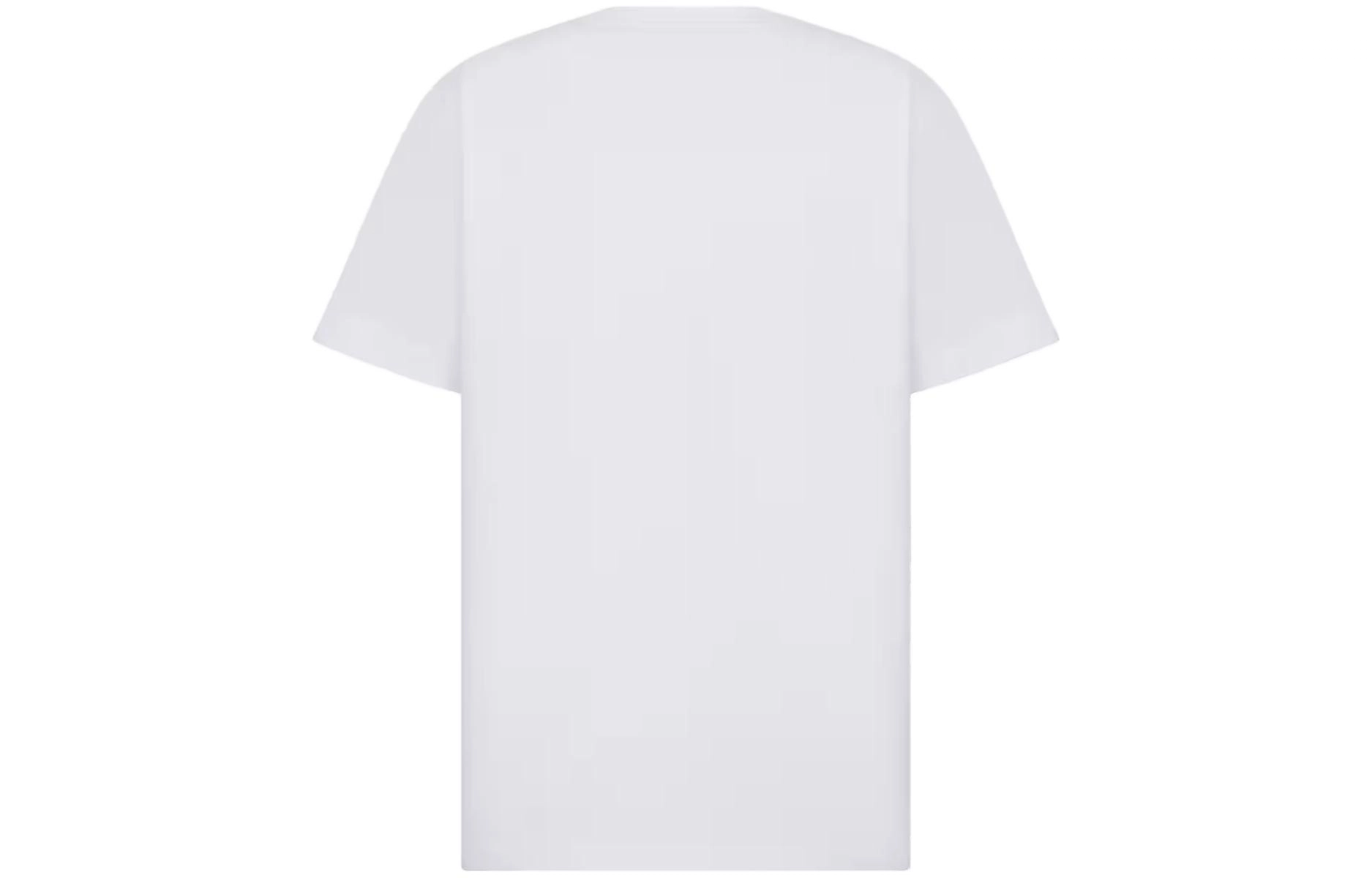 DIOR T