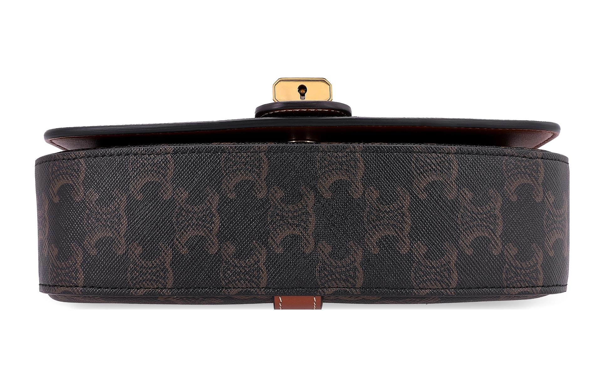 CELINE Triomphe Canvas