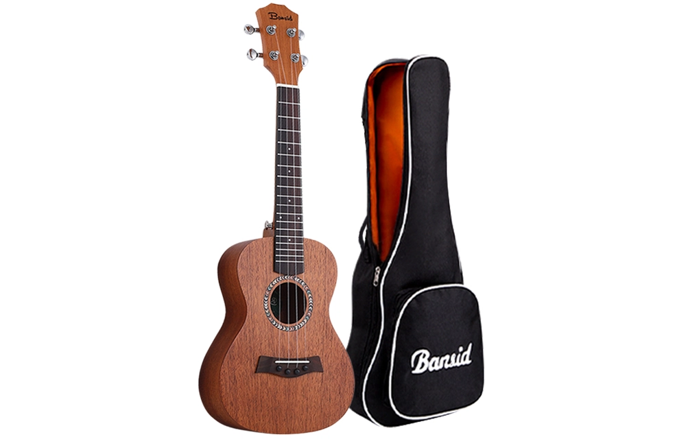 BANSID 23